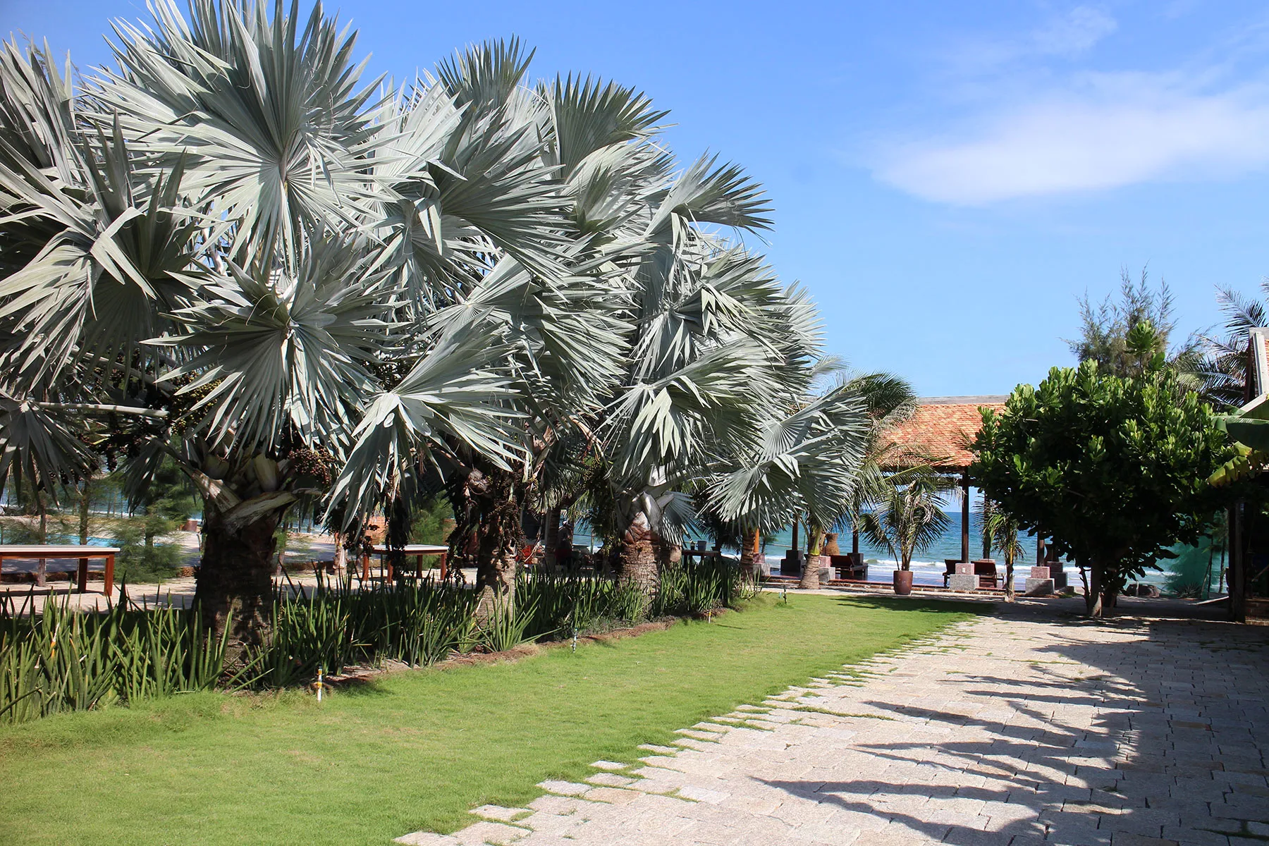 Blue Shell Resort
